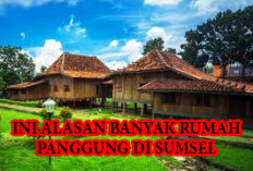 Banyak Rumah Panggung di  Sumsel, Ternyata Ini Alasannya