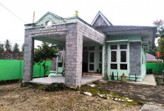 869 Hektare Lahan TNBBS Resort Merpas Dirambah, Mayoritas Ditanami Kopi