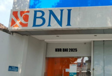 KUR BNI 2025 Pinjaman Rp 100 Juta, Bunga Rendah Syarat Ringan, Ini Persyaratan dan Cicilannya!