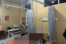 BREAKING NEWS!! Kecelakaan Maut di Tebing Manulla, Sopir Meninggal Dunia  