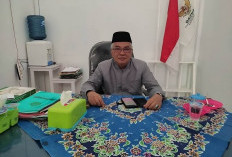 BAZNAS Mulai Lirik Potensi ZIS Dari Pengusaha Kelapa Sawit