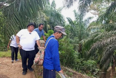 Soal Krisis Air di Lahan Persawahan, Bupati Bengkulu Selatan Cek Lokasi