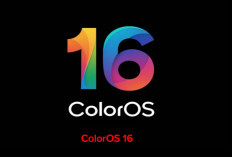 Handphone Oppo Dapat ColorOS 16, Yuk Cek di Sini Jenis – Jenisnya!