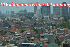 10 Kabupaten Terluas di Provinsi Lampung, Layak Dilakukan Pemekaran, Cek Nama - Namanya di Sini!