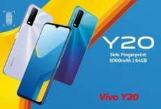 Vivo Y20 dan Vivo Y21, dengan Kaca   Lengkung 2,5D, Intip Keistimewaannya!