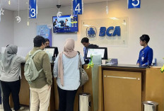 Segera Daftar Loker BCA untuk Posisi Relationship Officer dan MDP, Fresh Graduate Bisa Mendaftar