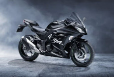Kawasaki Ninja 250 Terbaru Bawa Fitur Ala Motor Moge, Sensasi Berkendara Semakin Sporty dan Berkelas Banget