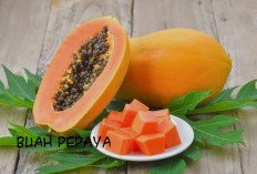 Pepaya Bukan Hanya Buah yang Lezat, Tetapi Juga Paket Lengkap Nutrisi, Menjaga Pencernaan