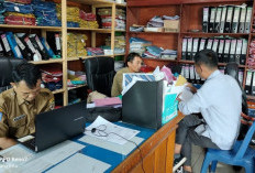 Tes PPPK Kaur Tahap Dua Segera Dimulai, Ini Jadwalnya