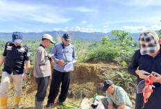 Jaksa Cek Lokasi HPT Bukit Rabang, Sampel Tanah Diambil, Bongkar Dugaan Perambahan Seret 6 Tersangka