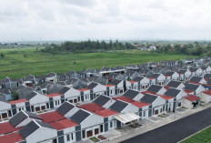 Sebelum Terlanjur Membeli: Cek Kekurangan Rumah Subsidi Tipe 21, Meskipun Harga Terjangkau