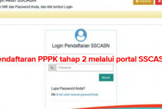 Seleksi PPPK Tahap 2 Segera Dibuka! Simak   Cara Pendaftaran Melalui Portal SSCASN BKN