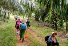 Kembali Aksi Demo di PT DSJ, PPSS Tungguh Hasil di Mabes Polri