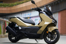 Mengintip Honda NWF150 2026, Motor Baru Bergaya Elegan dengan Teknologi Canggih Masa Kini