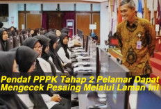 Pendaftar PPPK Tahap 2 Pelamar Dapat Mengecek Pesaing Melalui Laman Ini 