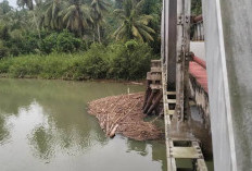 Dua Ekor Anjing Warga Air Jelatang Hilang Misterius, Diduga Dimangsa Hewan di Air Sambat