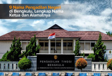 9 Nama Pengadilan Negeri di Bengkulu, Lengkap Nama Ketua dan Alamatnya