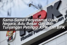 Sama-Sama Penyelamat Uang Negara, Adu Besar Gaji dan Tunjangan Petinggi KPK dan BPK 