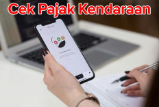 No Ribet Dijamin Cepat, Ini 3 Cara Cek   Pajak Kendaraan Bermotor Lewat Handphone