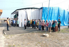 Kedisiplinan ASN Pemda Kaur Membaik,   Simak di Sini Capaian Persentasenya! 