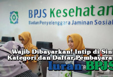 Wajib Dibayarkan! Intip di Sini Kategori dan Daftar Pembayaran Iuran BPJS 