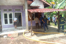 Rumah Kontrakan Terbakar di Pahlawan Ratu Nyaris Ludes, Penyebabnya Harus Jadi Pelajaran Bersama