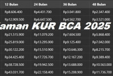 Kembali Dibuka Pinjaman KUR BCA 2025 Mulai dari Rp 10 Juta hingga Rp 500 Juta