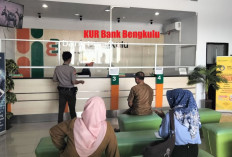 KUR Bank Bengkulu Buat Bantu Pelaku Usaha, Tepat Sasaran, Bakal Sukses Menunggu!