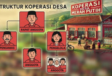 Susunan Pengurus Koperasi Desa Merah Putih, Berikut Ini Aturannya