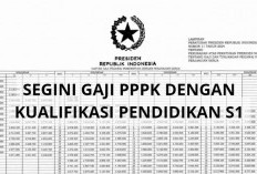 Tidak Beda Jauh Gaji PPPK Lulusan S1 dan S2, Hanya Segini Perbedaannya