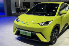 Mobil Listrik Asal Cina  Teknologi Hybrid Jadi  Ajang Persaingan Tinggi