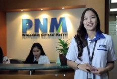 PT PNM Buka Loker Administration  Officer, Cek Kualifikasinya