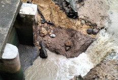 Bendungan Jebol, 200 Hektare Lahan Persawahan Warga di Kecamatan Pino Terancam Kekeringan