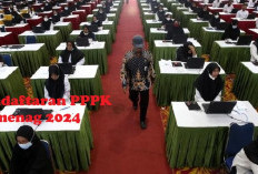 Pendaftaran PPPK Kemenag 2024 Segera Ditutup, Peserta Wajib Tau Cara Pemilihan Formasi