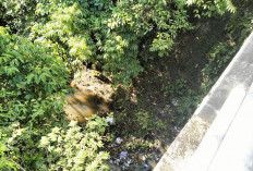 Pendataan Titik-Titik Lokasi Pembuangan Sampah Liar Segera Dimulai, Berikut Penjelasannya DLH 