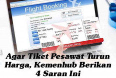 Agar Tiket Pesawat Turun Harga, Kemenhub Berikan 4 Saran Ini