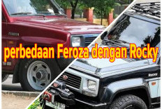 Kembar Identik, 7 Perbedaan Feroza dengan Rocky, Mana Lebih Unggul? 