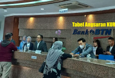 Bunga Rendah dengan Prosedur Mudah, Intip Tabel Angsuran KUR BTN Rp 25 Juta!