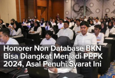 Honorer Non Database BKN Bisa Diangkat Menjadi PPPK 2024, Asal Penuhi Syarat Ini