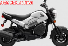 Honda Navi Sudah Meluncur : Perpaduan Motor Sport dan Matic! 