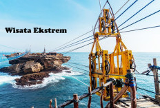 Mengguncang Adrenalin! Inilah Deretan Wisata Ekstrem di Indonesia, Tertarik Mencobanya?