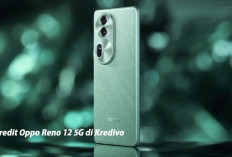 Kredit Oppo Reno 12 5G di Kredivo, Cicilan Hanya Segini, Ramah di Kantong! 