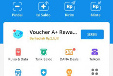 Hasilkan Uang Rp 200.000 Sambil Rebahan, Yuk Gunakan Aplikasi Penghasil Saldo Dana Gratis