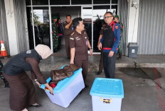 Kejati Bengkulu Belum Tetapkan Tersangka Korupsi Tambang Batubara Sebabkan KN RP 300 M, Alasannya Menari!