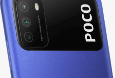 Mengulik Spesifikasi yang ada di Xiaomi POCO M3, Baterai Jumbonya Auto Bikin Pengguna Terpikat