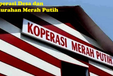 Koperasi Desa Merah Putih: Pemerintah Resmi Bentuk 80.002, Ini Penjelasannya!