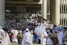 Berikut Jadwal Kepulangan Jemaah Haji ke Indonesia, Berdasarkan Embkarkasi, Cek Tanggalnya di Sini 