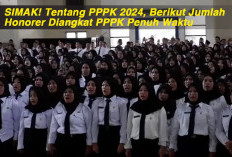 SIMAK! Tentang PPPK 2024, Berikut Jumlah Honorer Diangkat PPPK Penuh Waktu