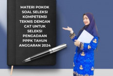 Pelamar Harus Tahu, Ini Materi Pokok Tes Kompetensi Teknis PPPK 2024 