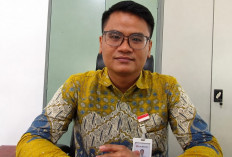 Bank Bengkulu Hadirkan KUR untuk PMI, Intip Bunganya di Sini Saja! 